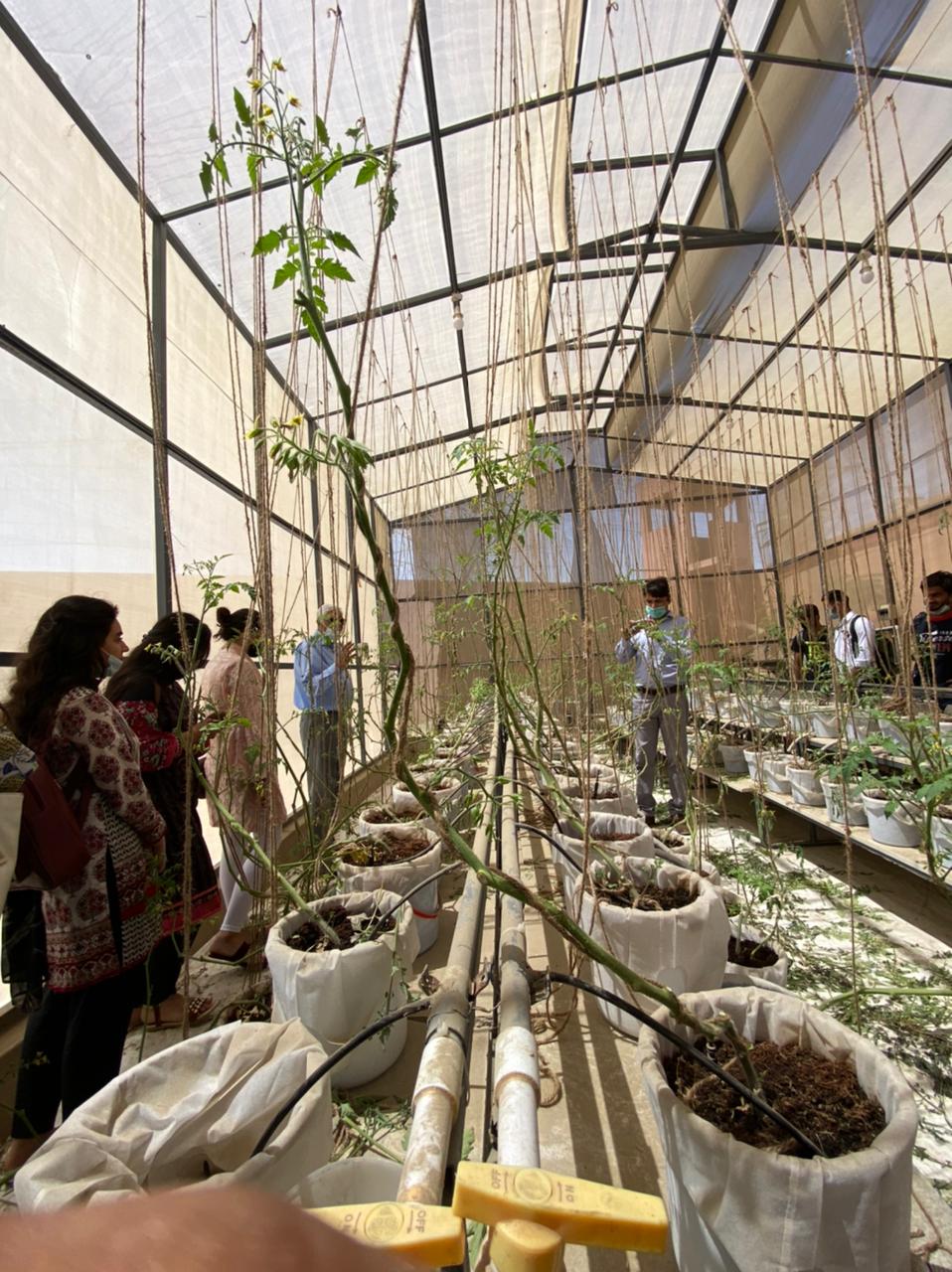 THE FARM: AN EXPERIENTIAL LEARNING ACTIVITY